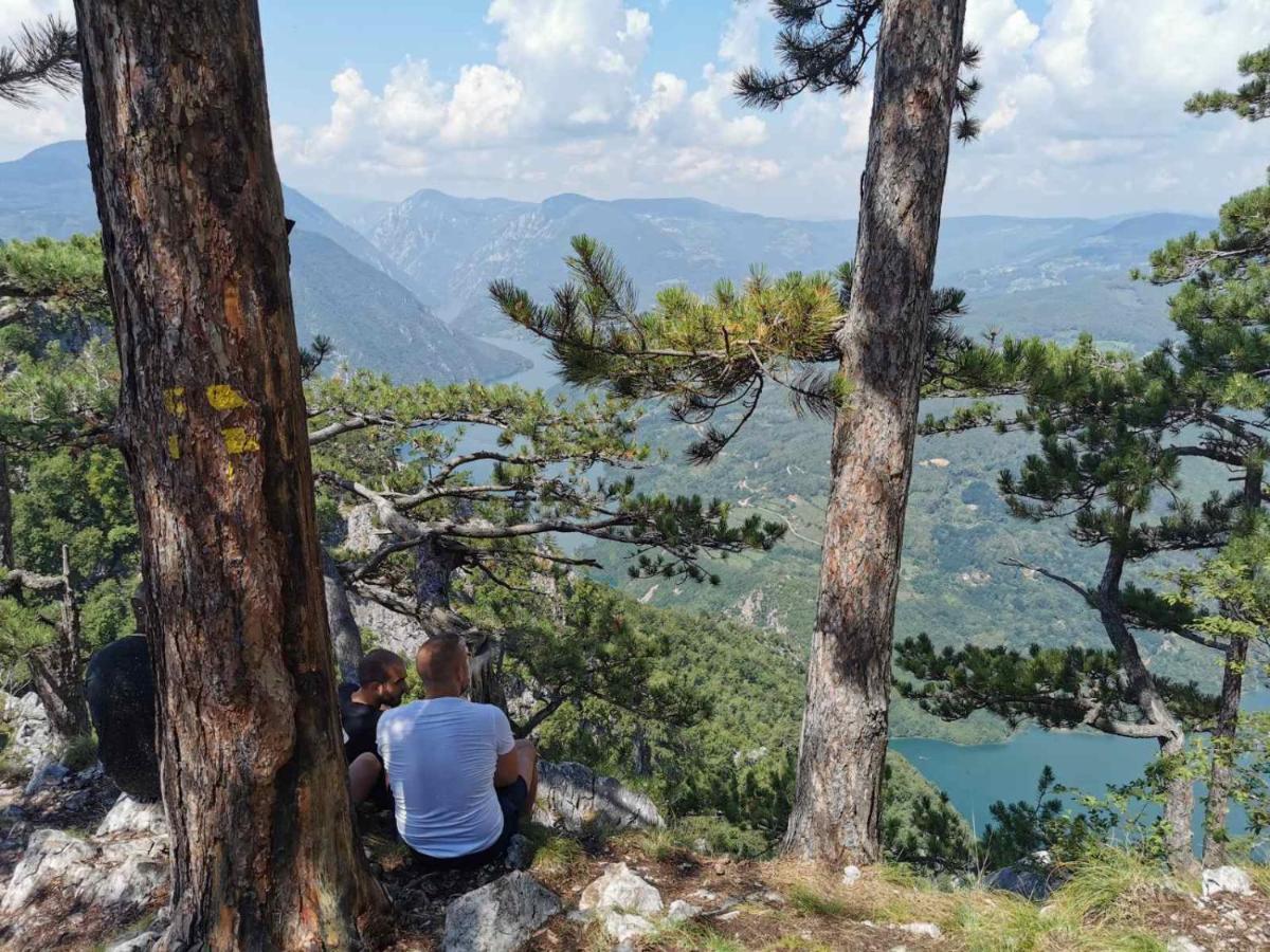 Apartman Bugar Mitrovac Dış mekan fotoğraf