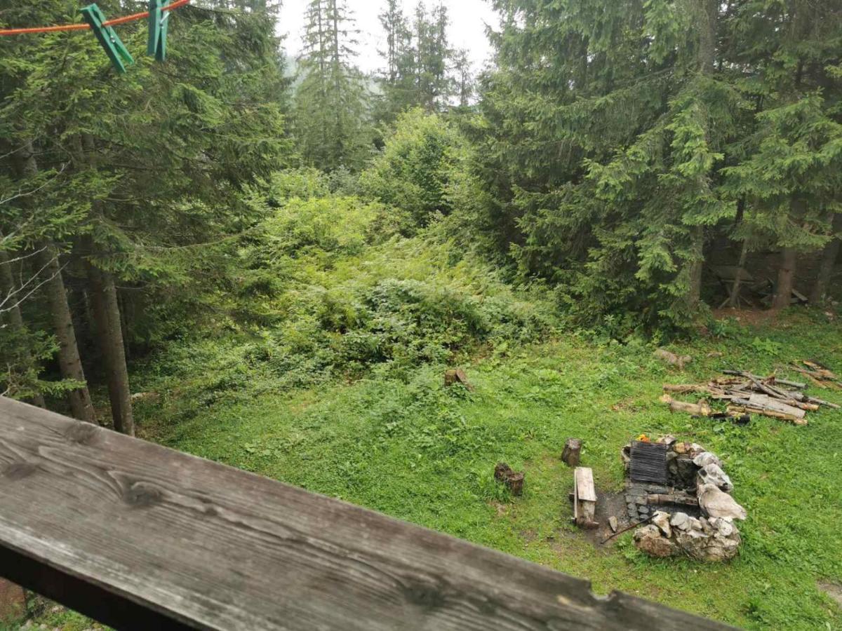 Apartman Bugar Mitrovac Dış mekan fotoğraf